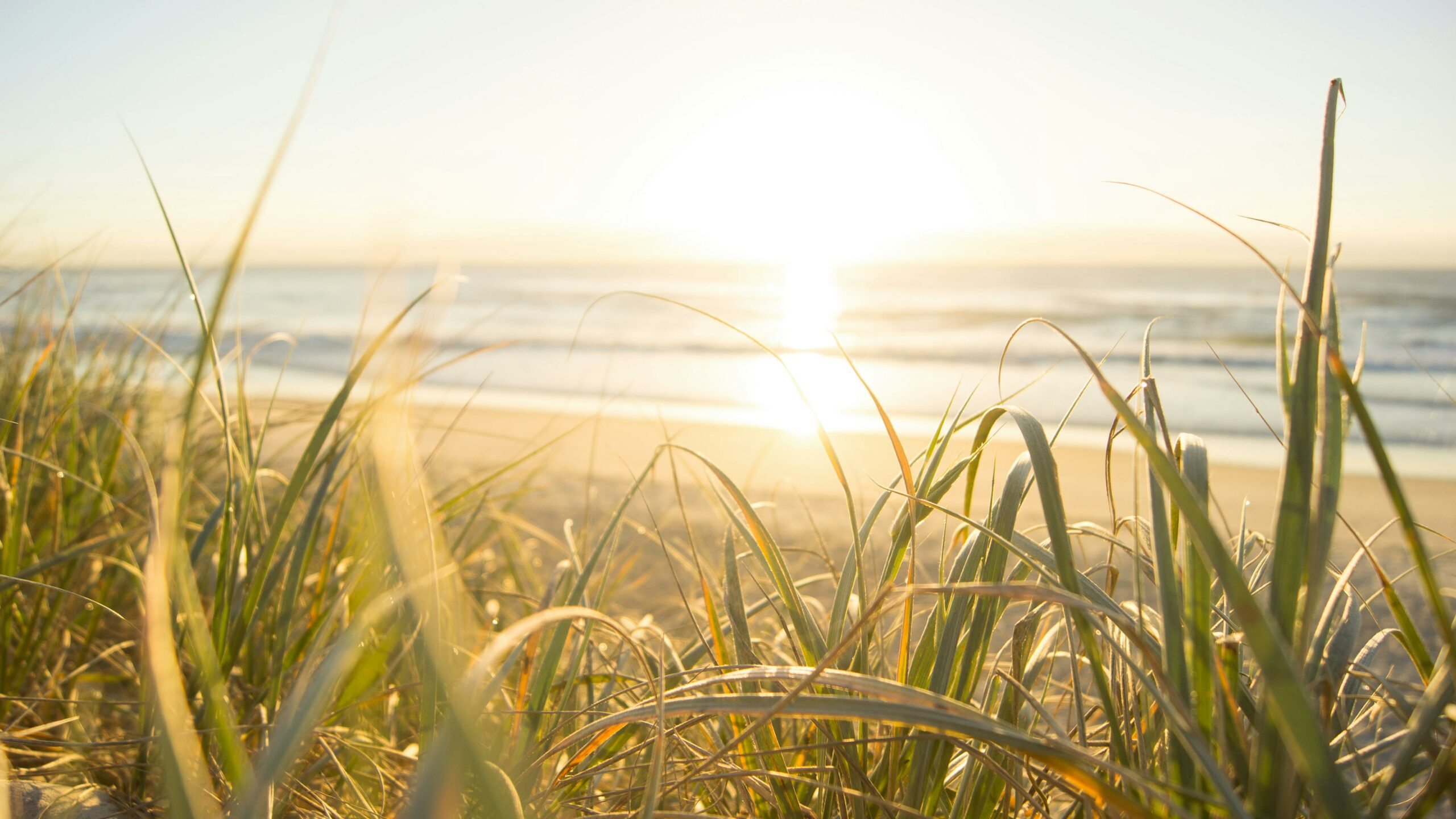 June 2025: This Month in Huntington’s Disease Research