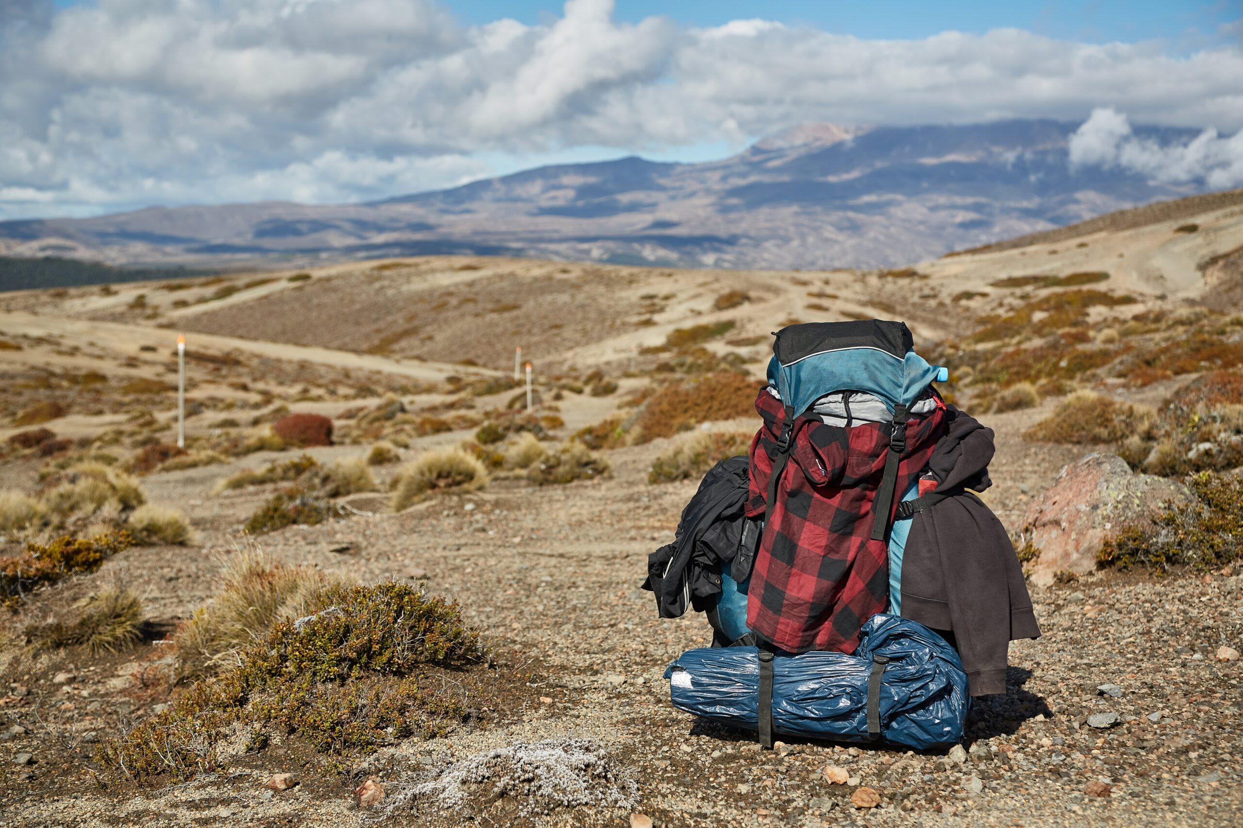 ​​An Old Drug, New Tricks: Sertraline May Lighten the Load in HD by Targeting Protein Production