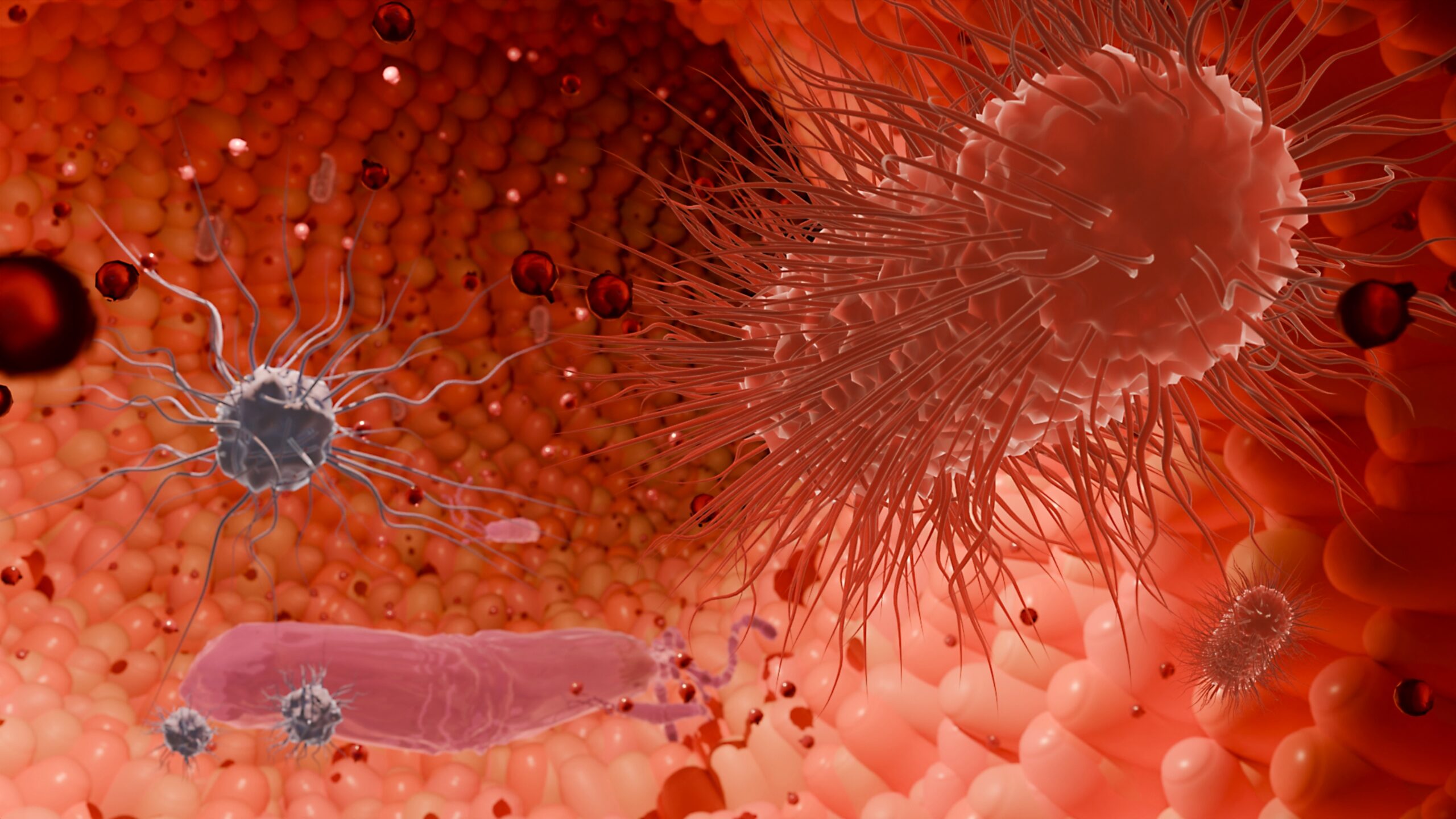 Feeding the Brain Through the Gut: How Prebiotics Might Shape Huntington’s Disease