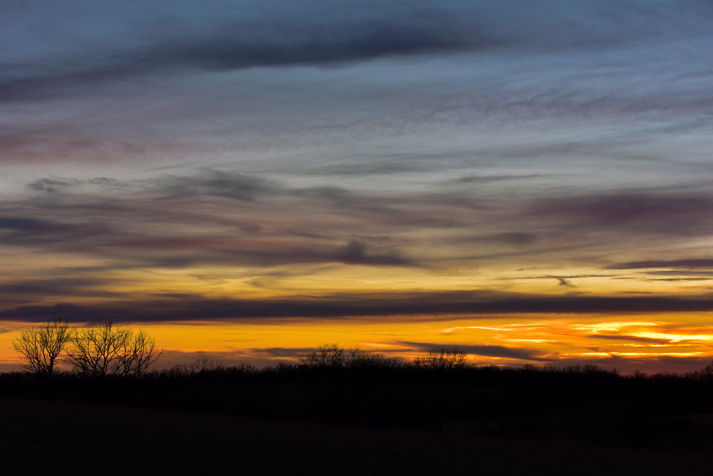 Putting it in print: oral drug branaplam lowered huntingtin, but safety concerns halted development