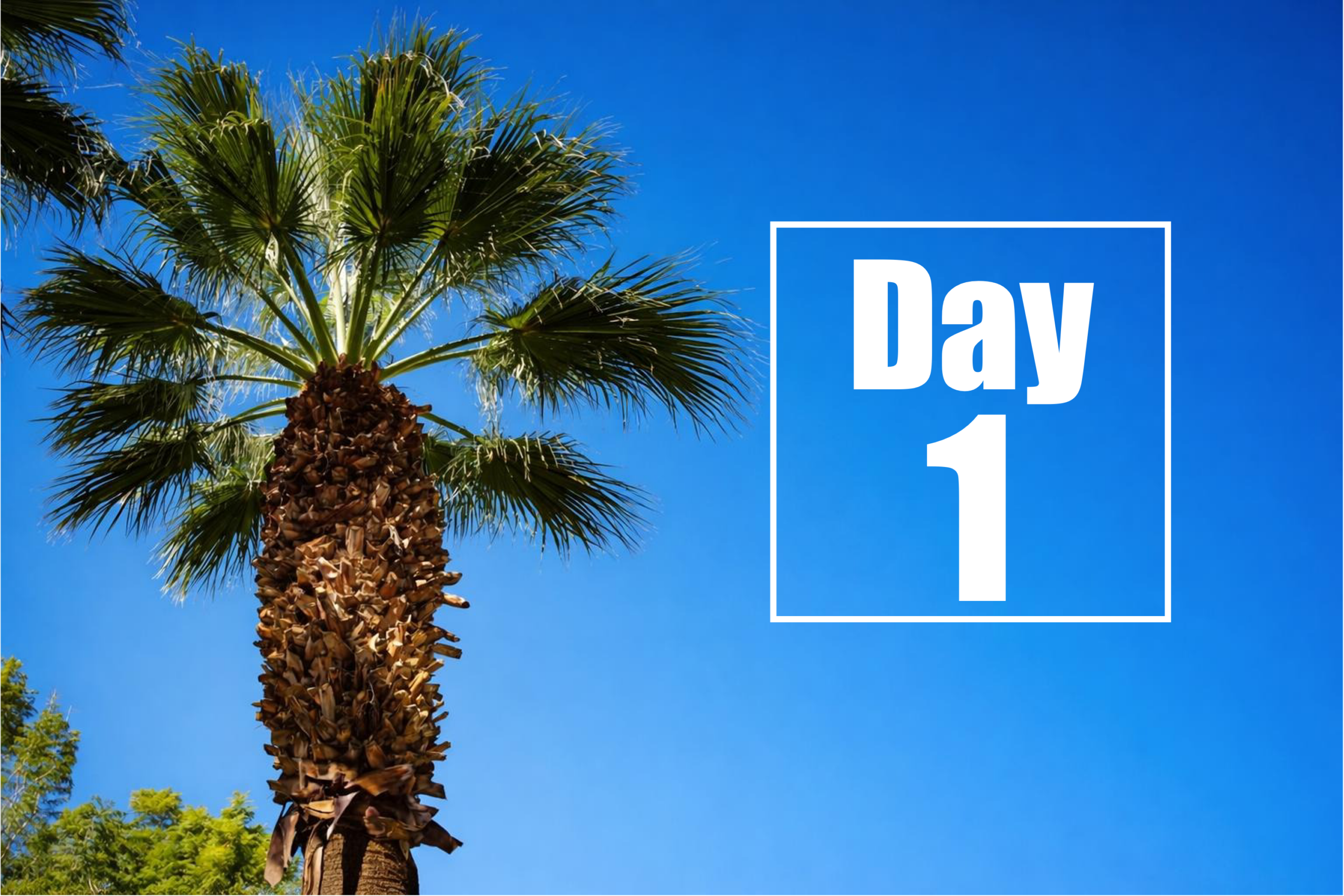 Huntington’s Disease Therapeutics Conference 2026 – Day 1