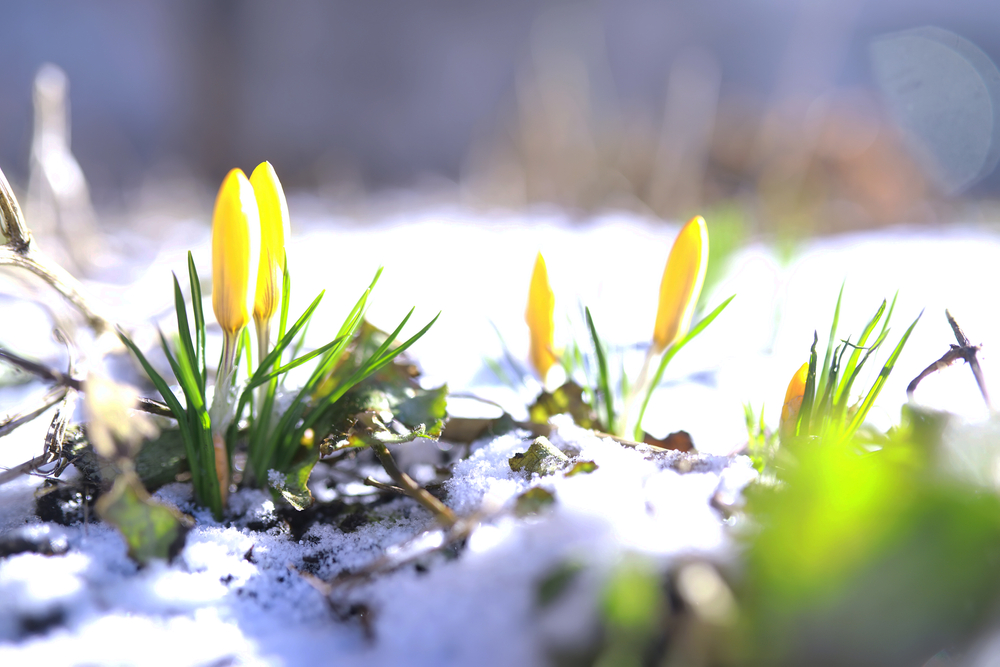 March 2026: This Month in Huntington’s Disease Research