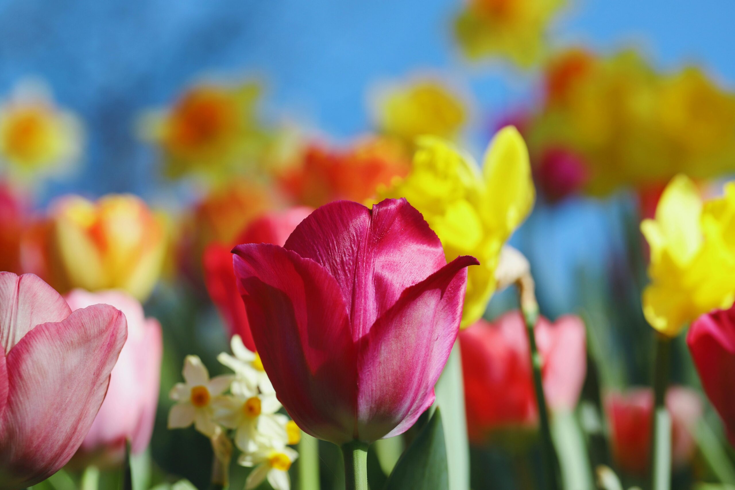 April 2026: This Month in Huntington’s Disease Research