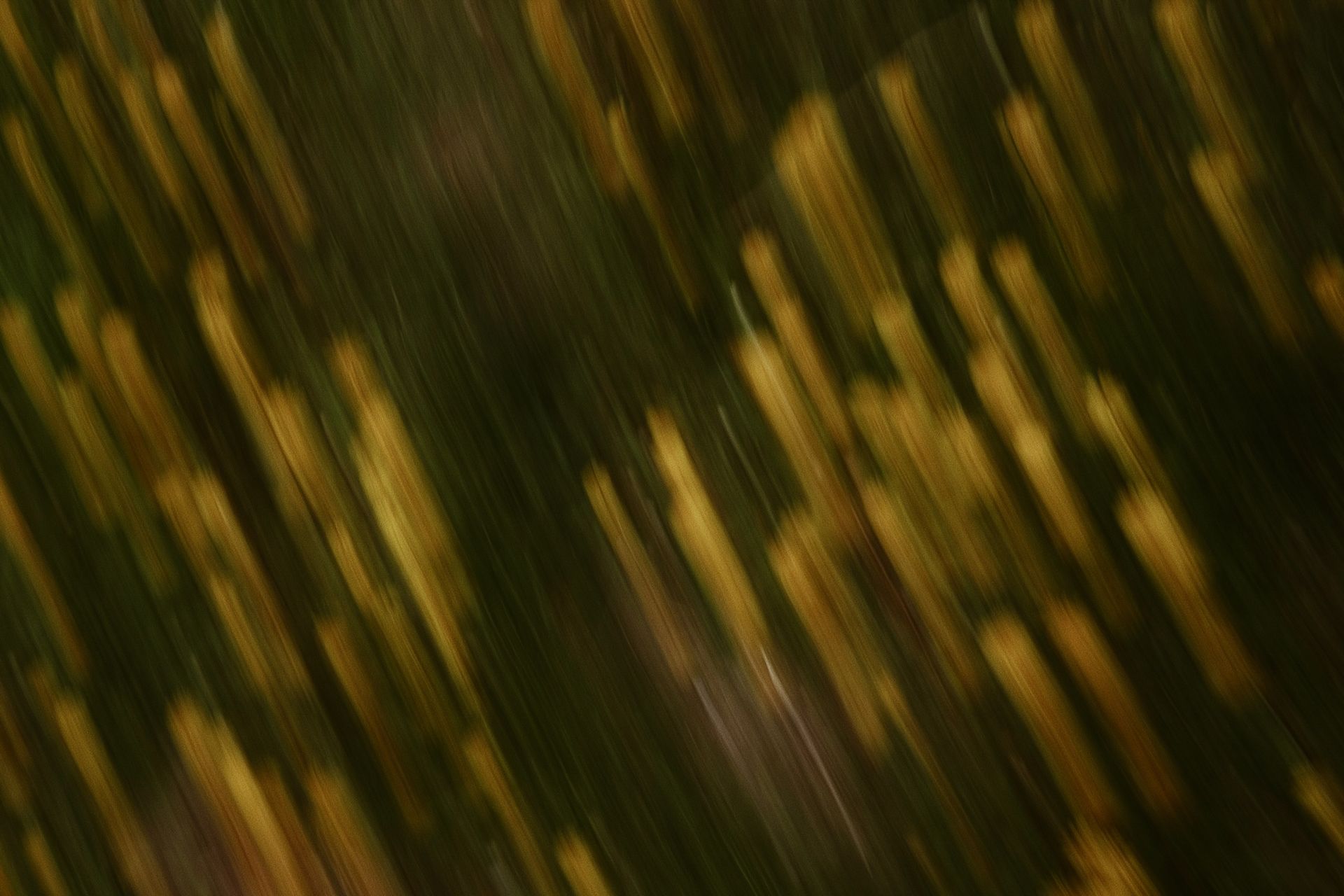 Blurred Lines: When Similar Symptoms Can Mean Different Things